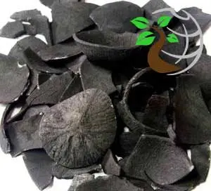 5. Coconut Shell Charcoal