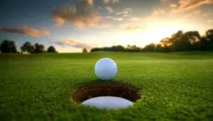 5. Coconut Shell Charcoal For Golf Courses